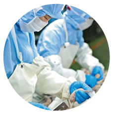 ハムソーセージ